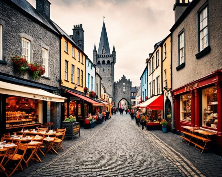 Verken het middeleeuwse Kilkenny