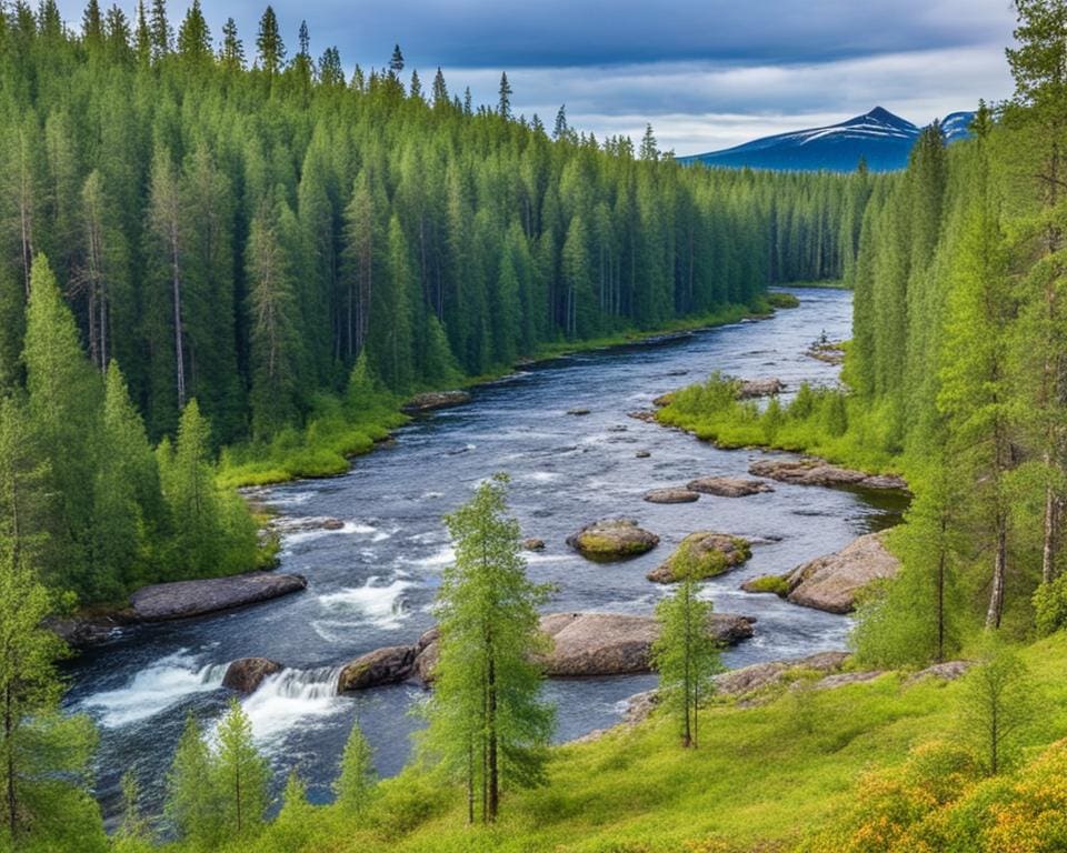 Wandelen door de natuur van Finland