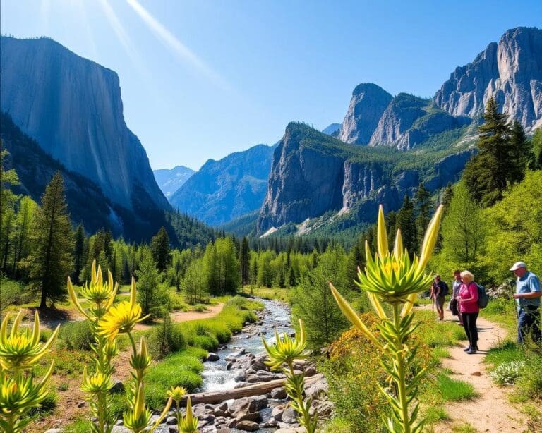 Bezoek het Yosemite National Park in Californië